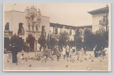 Pigeons on the Plaza San Diego