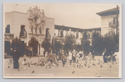 Pigeons the plaza san - the, diego