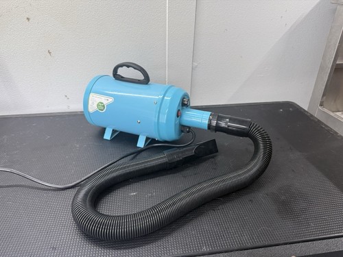 Professional dog blaster pet - dog,