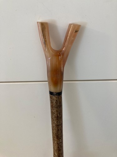 Tall rams horn thumb - thumb, or