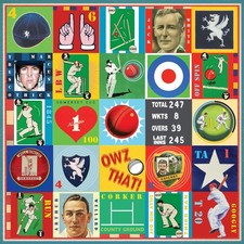 Somerset County Cricket Print, Cricket Gift, Cricket Art, Somerset Cricket Fan