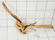 Premium Aquarium Natural Red