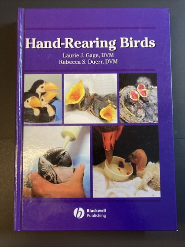 Hand rearing birds - hand-rearing,
