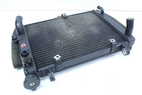 Yamaha yzf rj03 02 - r6, 99-02
