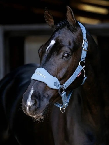 Lemieux breakaway vogue - lemieux,