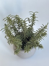 Artificial house Plant &