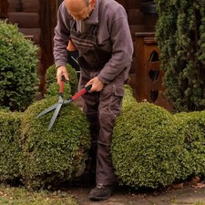 78CM TELESCOPIC GARDEN SHEARS