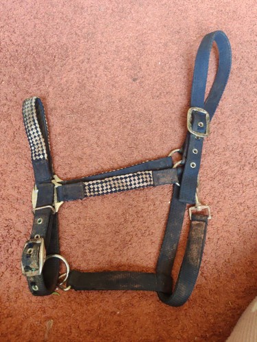 Full size head collar - head,