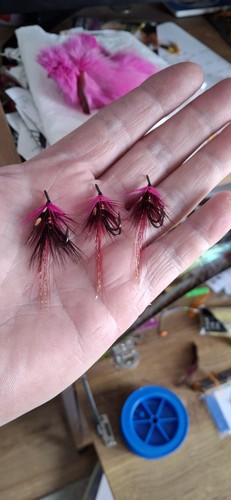 Patriot pink mccormick - 3@8,