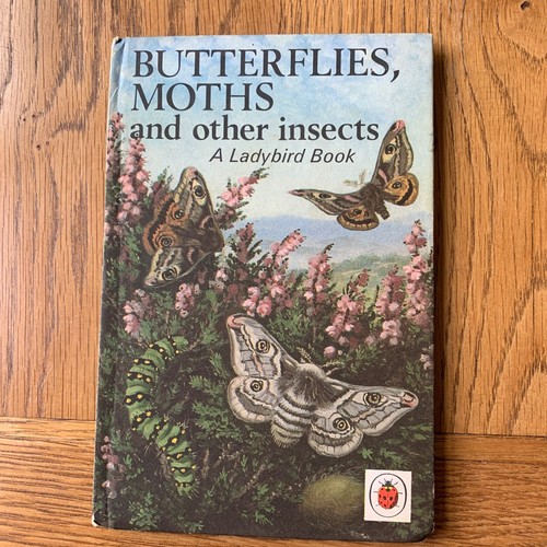 Ladybird butterflies moths - ladybird, &