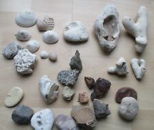 Mixed Sea Shells & Dead Coral - Pebbles etc - Crafting/Aquariums  No 2