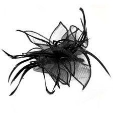 Feather Fascinator Looped Net