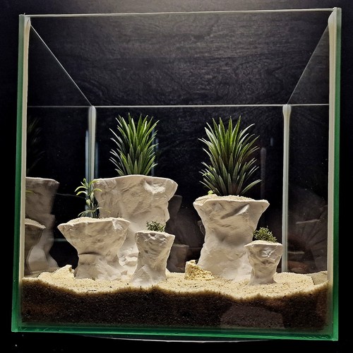 Aquarium terrarium rock - terrarium,