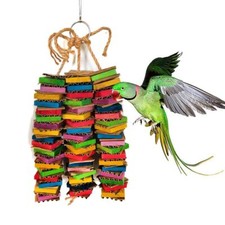 Bird parrot toy - toy,