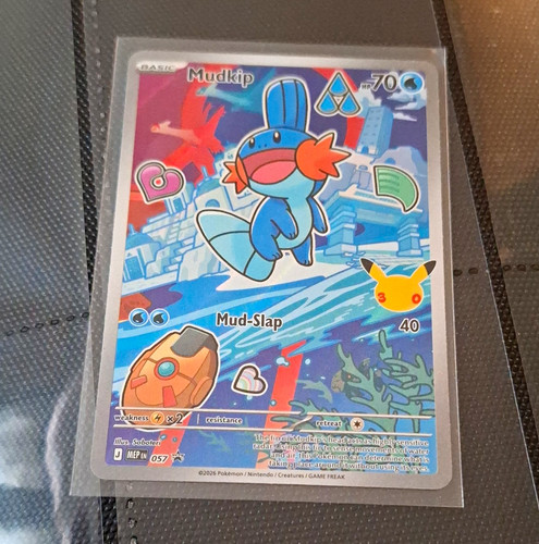 Pokémon tcg nintendo mudkip - pokémon,
