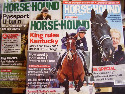 Nice lot horse and - nice,