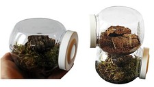 New Style Micro Housing Ideal for Tarantulas (slings) Spiders Etc 