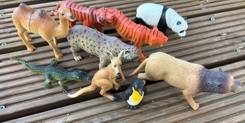 Mixed bundle animals - of,