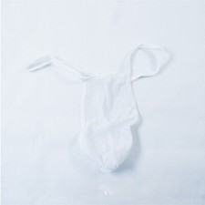 Mens Sexy Briefs See Through