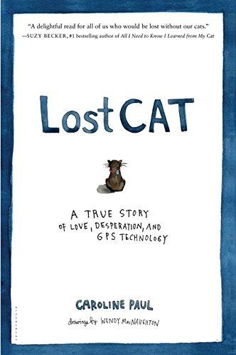 Lost cat true story of - story,