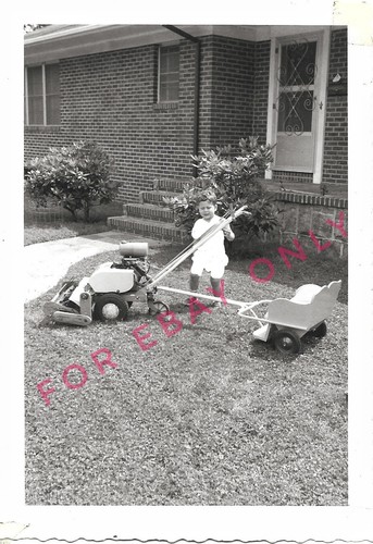 Vintage old 1950 - vintage, photo