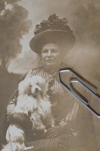 852 photo postcard - a#852, viege