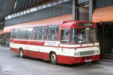 Bus Photo - Sports Tours