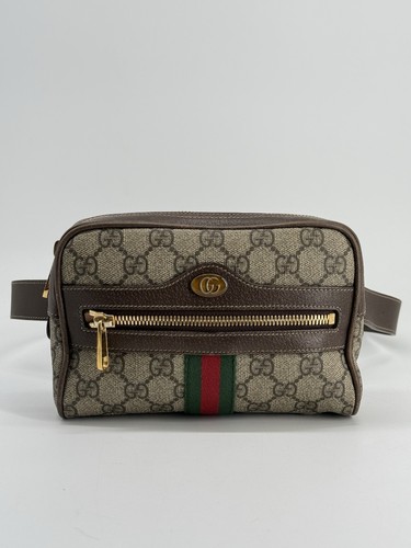 Gucci ophidia supreme belt - gg,