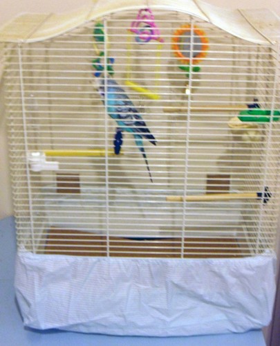Cage tidy for bird - cage,