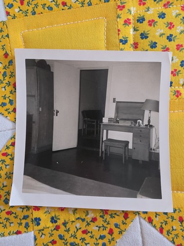 Vtg snapshot photo 1950s - photo,