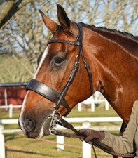 FSS Anatomical HUNTER Bridle