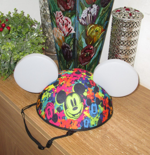 Disney parks mickey - parks,