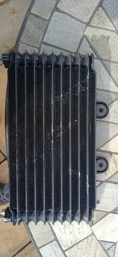 Suzuki bandit gsf 600 oil - 600,