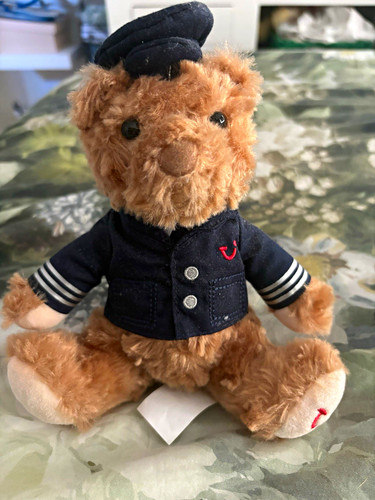 Tui bear - tui, teddy