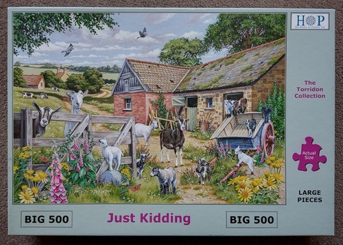 House puzzles hop - of, 500
