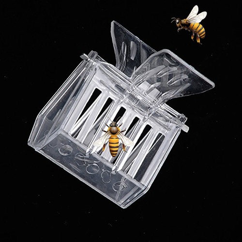 Plastic queen cage clip bee - plastic,