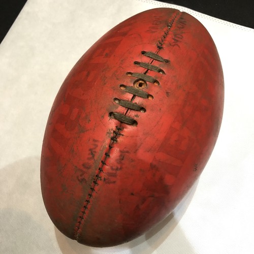 Vintage sherrin kangaroo - vintage, t