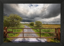 Gate in Galway Framed Wall Art