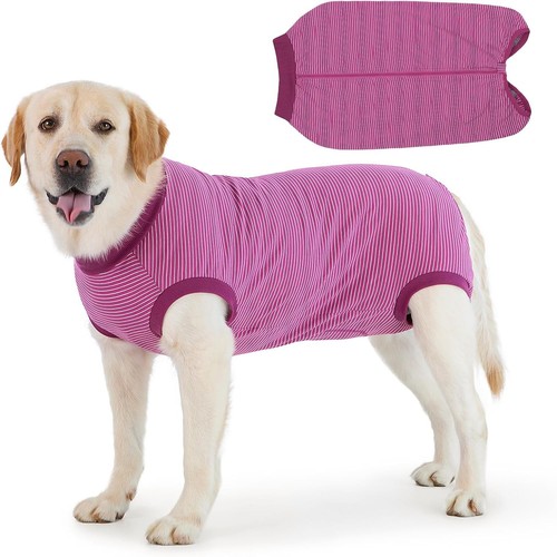 Dog recovery suit post - recovery,