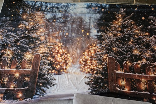 Kate christmas forest snowy - christmas,