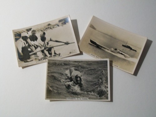 Speed boat racing sculling - 3,