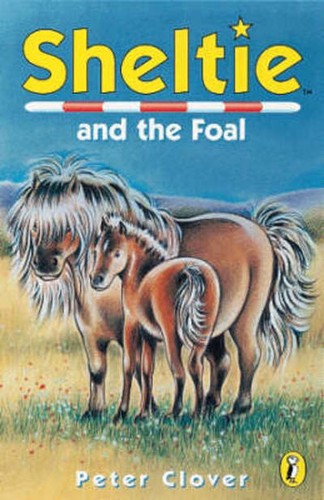 Sheltie and the foal