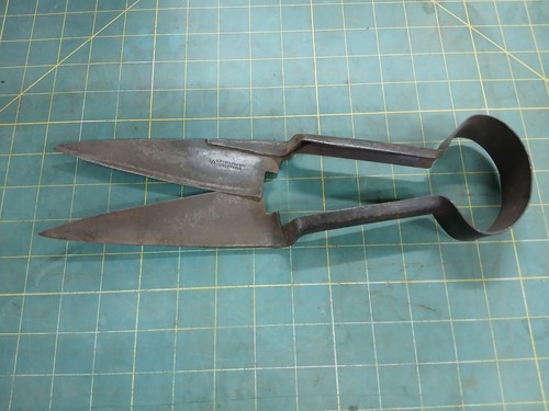 Vintage sheep shears - sheep, ideal