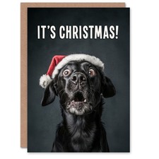 Christmas Card Black Labrador