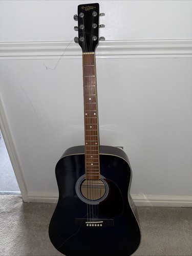 Hohner countryman acoustic - countryman,