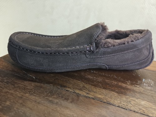 Ugg ascot dusted cocoa - ascot,