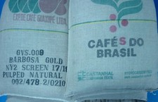 Brazilian Santos Arabica Green