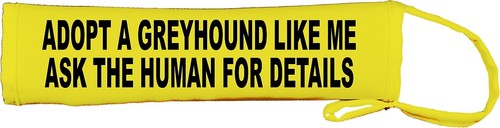 Adopt greyhound like ask - a,