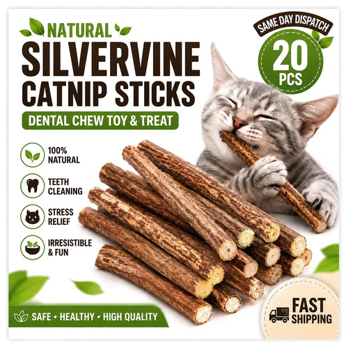 20pcs natural silvervine - natural,