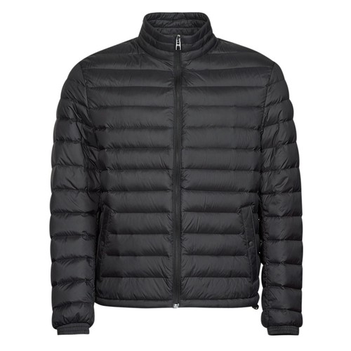 Genuine hugo boss - chorus, duck